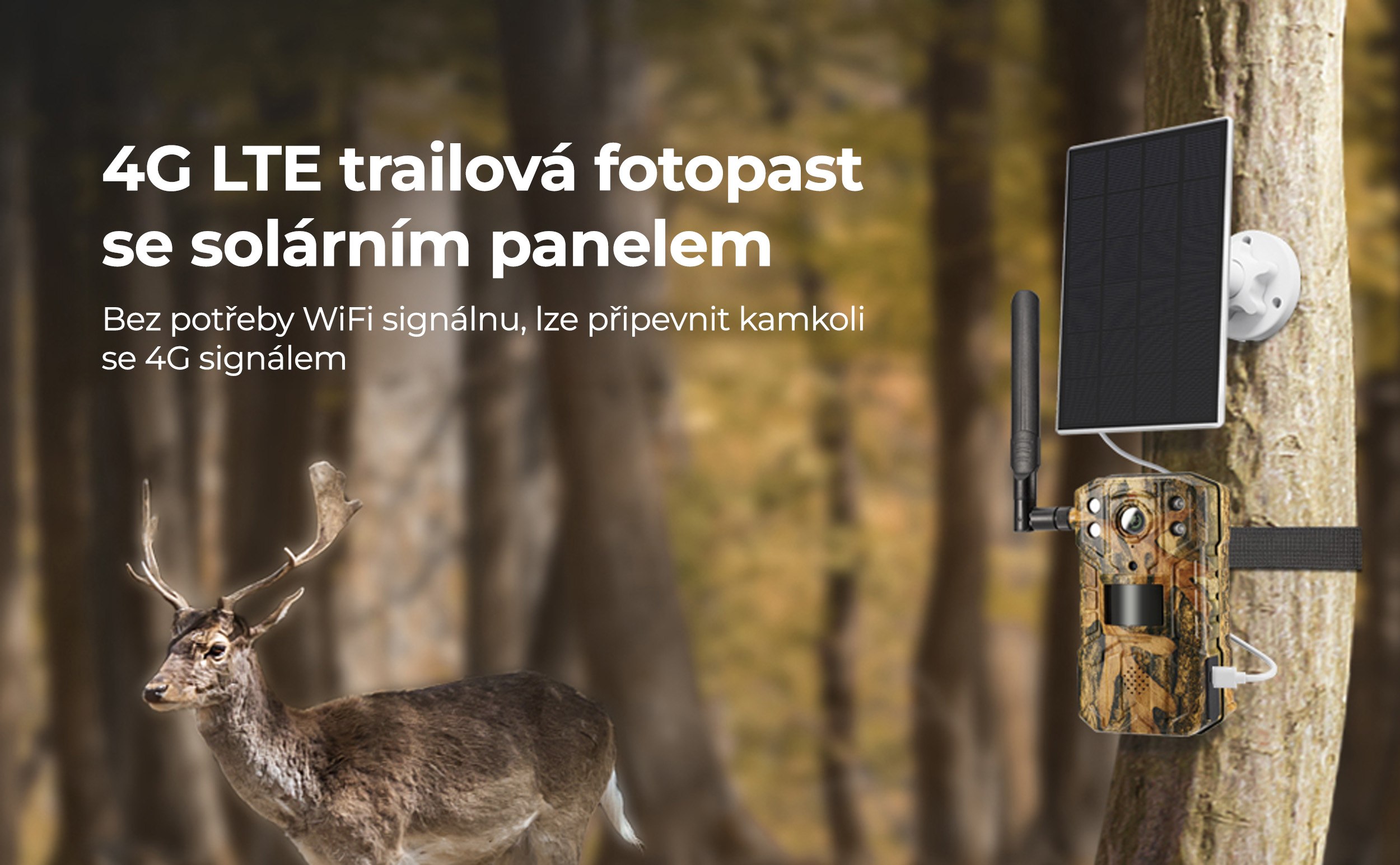kf-concept-4g-lte-fotopast-pp-1